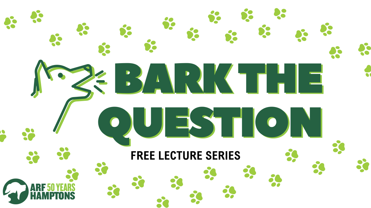 2025 Bark the question (1920 x 1080 px) (2)